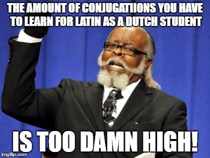 Welcome to the Netherlands folks... | THE AMOUNT OF CONJUGATIIONS YOU HAVE TO LEARN FOR LATIN AS A DUTCH STUDENT; IS TOO DAMN HIGH! | image tagged in memes,too damn high | made w/ Imgflip meme maker