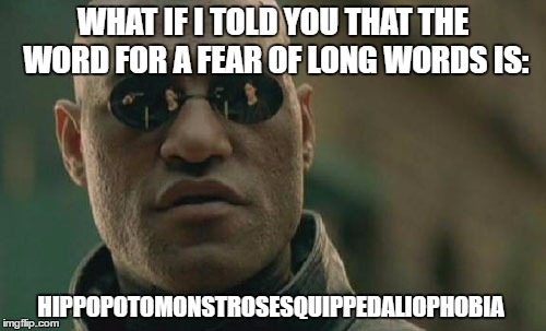 Takes trolling to a whole new level | WHAT IF I TOLD YOU THAT THE WORD FOR A FEAR OF LONG WORDS IS:; HIPPOPOTOMONSTROSESQUIPPEDALIOPHOBIA | image tagged in memes,matrix morpheus,phobia | made w/ Imgflip meme maker