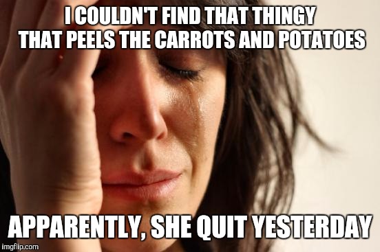 First World Problems Meme | I COULDN'T FIND THAT THINGY THAT PEELS THE CARROTS AND POTATOES; APPARENTLY, SHE QUIT YESTERDAY | image tagged in memes,first world problems | made w/ Imgflip meme maker