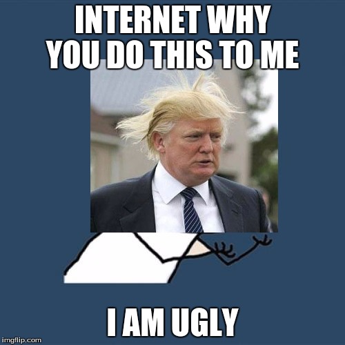 INTERNET WHY YOU DO THIS TO ME; I AM UGLY | image tagged in donald trump,memes,troll face | made w/ Imgflip meme maker