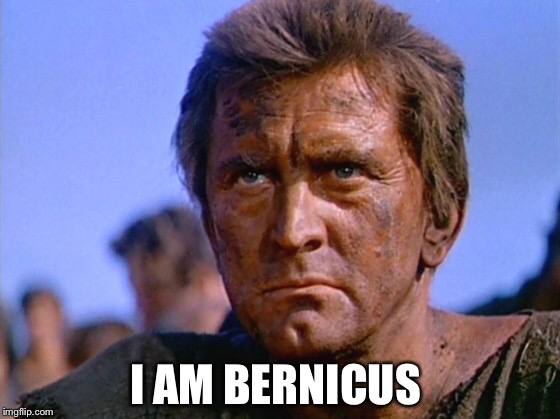 I am Bernicus | I AM BERNICUS | image tagged in i am spartacus,spartacus,sparta | made w/ Imgflip meme maker