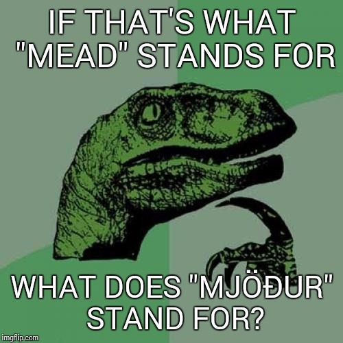 Philosoraptor Meme | IF THAT'S WHAT "MEAD" STANDS FOR WHAT DOES "MJÖÐUR" STAND FOR? | image tagged in memes,philosoraptor | made w/ Imgflip meme maker