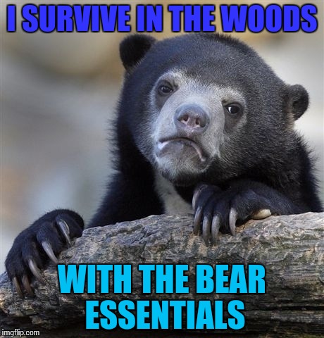 Confession Bear | I SURVIVE IN THE WOODS; WITH THE BEAR ESSENTIALS | image tagged in memes,confession bear | made w/ Imgflip meme maker