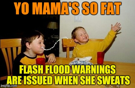 Yo Mamas So Fat | YO MAMA'S SO FAT; FLASH FLOOD WARNINGS ARE ISSUED WHEN SHE SWEATS | image tagged in memes,yo mamas so fat | made w/ Imgflip meme maker