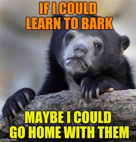 Confession Bear | IF I COULD LEARN TO BARK; MAYBE I COULD GO HOME WITH THEM | image tagged in memes,confession bear | made w/ Imgflip meme maker