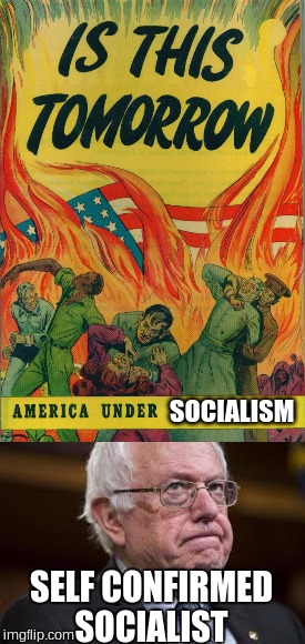 SOCIALISM; SELF CONFIRMED SOCIALIST | image tagged in bernie sanders,america | made w/ Imgflip meme maker