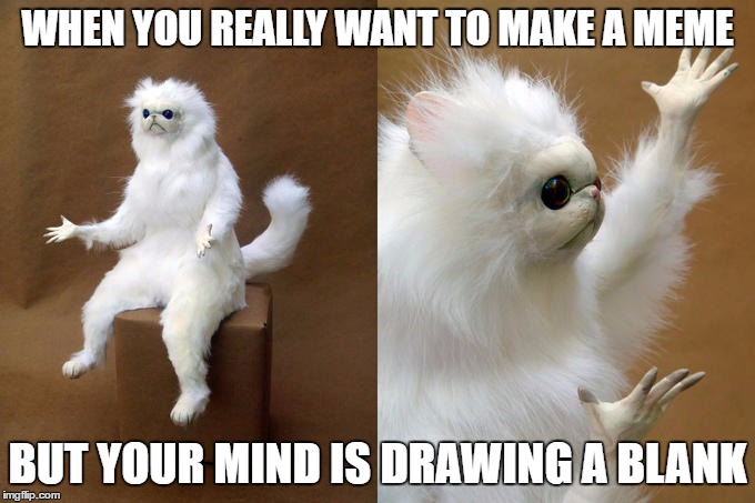 Persian Cat Room Guardian Meme | WHEN YOU REALLY WANT TO MAKE A MEME; BUT YOUR MIND IS DRAWING A BLANK | image tagged in persian cat room guardian | made w/ Imgflip meme maker