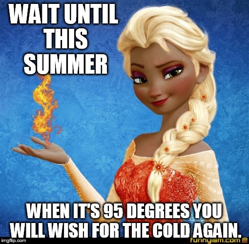 hot elsa |  WAIT UNTIL THIS SUMMER; WHEN IT'S 95 DEGREES YOU WILL WISH FOR THE COLD AGAIN. | image tagged in frozen elsa | made w/ Imgflip meme maker
