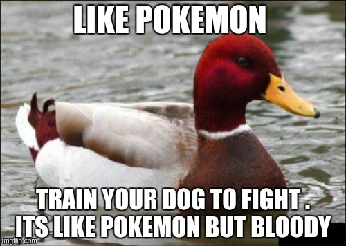 Malicious Advice Mallard | LIKE POKEMON; TRAIN YOUR DOG TO FIGHT . ITS LIKE POKEMON BUT BLOODY | image tagged in memes,malicious advice mallard | made w/ Imgflip meme maker