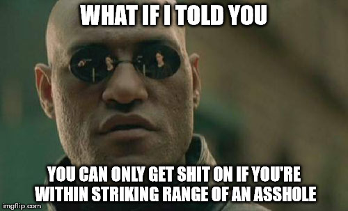 Matrix Morpheus Meme | WHAT IF I TOLD YOU; YOU CAN ONLY GET SHIT ON IF YOU'RE WITHIN STRIKING RANGE OF AN ASSHOLE | image tagged in memes,matrix morpheus | made w/ Imgflip meme maker