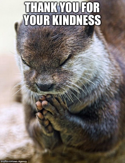 Thank you Lord Otter | THANK YOU FOR YOUR KINDNESS | image tagged in thank you lord otter | made w/ Imgflip meme maker
