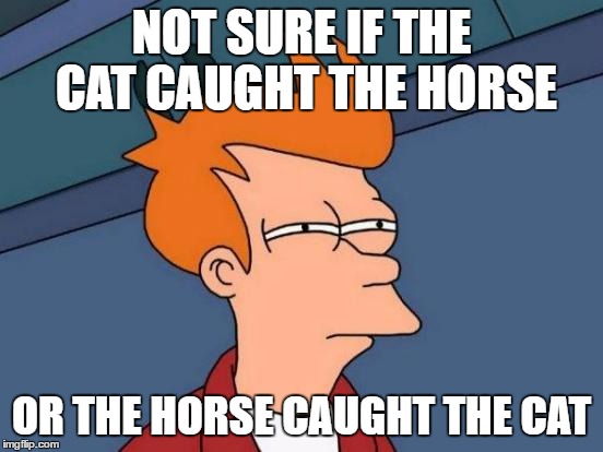 Futurama Fry Meme | NOT SURE IF THE CAT CAUGHT THE HORSE OR THE HORSE CAUGHT THE CAT | image tagged in memes,futurama fry | made w/ Imgflip meme maker