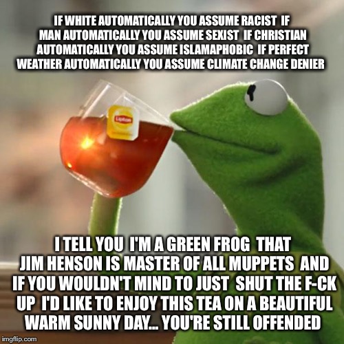 They're Probably Planning A Boycott Of The Children's Television Network With Protests On 123 Sesame Street | IF WHITE AUTOMATICALLY YOU ASSUME RACIST  IF MAN AUTOMATICALLY YOU ASSUME SEXIST  IF CHRISTIAN AUTOMATICALLY YOU ASSUME ISLAMAPHOBIC  IF PERFECT WEATHER AUTOMATICALLY YOU ASSUME CLIMATE CHANGE DENIER; I TELL YOU  I'M A GREEN FROG  THAT JIM HENSON IS MASTER OF ALL MUPPETS  AND IF YOU WOULDN'T MIND TO JUST  SHUT THE F-CK UP  I'D LIKE TO ENJOY THIS TEA ON A BEAUTIFUL WARM SUNNY DAY... YOU'RE STILL OFFENDED | image tagged in islam,christian,climate change,sexism,sjw,political meme | made w/ Imgflip meme maker