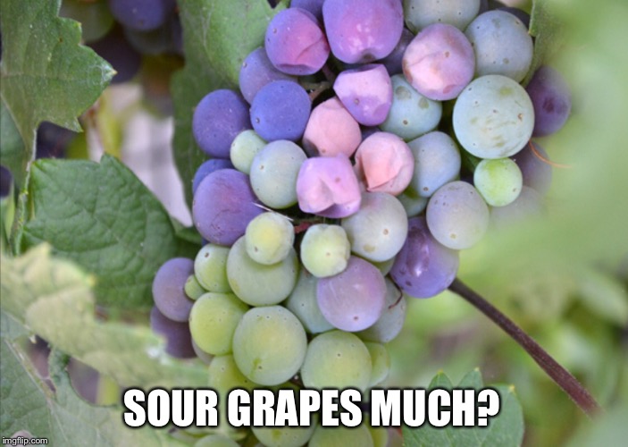 SOUR GRAPES MUCH? | made w/ Imgflip meme maker