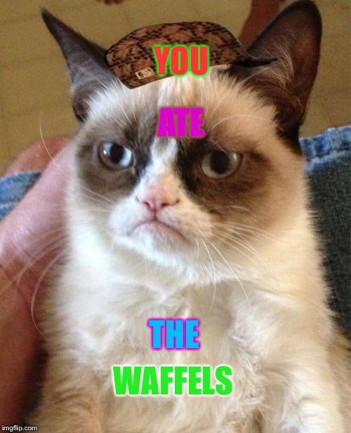 Grumpy Cat | ATE; YOU; THE; WAFFELS | image tagged in memes,grumpy cat,scumbag | made w/ Imgflip meme maker