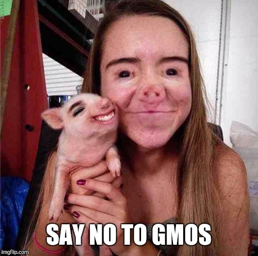 This is what happens when you pork the wrong girl | SAY NO TO GMOS | image tagged in gmo fruits vegetables | made w/ Imgflip meme maker