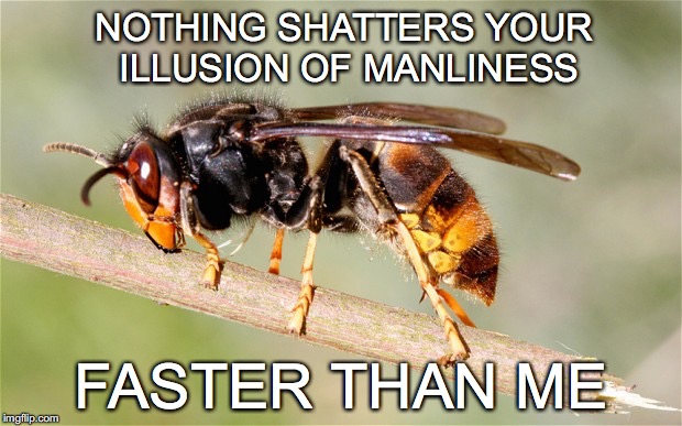 Hell Wasp aka HORNET | NOTHING SHATTERS YOUR ILLUSION OF MANLINESS; FASTER THAN ME | image tagged in hornet,manliness,faster than me,illusion,nothing shatters your illusion of manliness faster than me | made w/ Imgflip meme maker