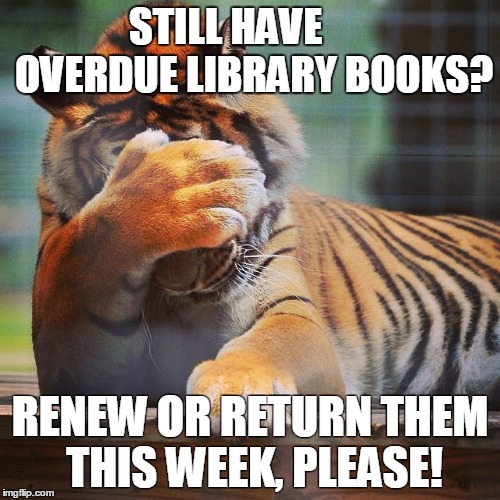 Facepalm Tiger | STILL HAVE 
     OVERDUE LIBRARY BOOKS? RENEW OR RETURN THEM THIS WEEK, PLEASE! | image tagged in facepalm tiger | made w/ Imgflip meme maker