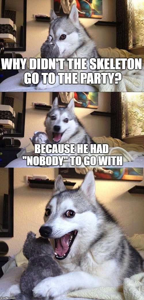 Bad Pun Dog Meme | WHY DIDN'T THE SKELETON GO TO THE PARTY? BECAUSE HE HAD "NOBODY" TO GO WITH | image tagged in memes,bad pun dog | made w/ Imgflip meme maker