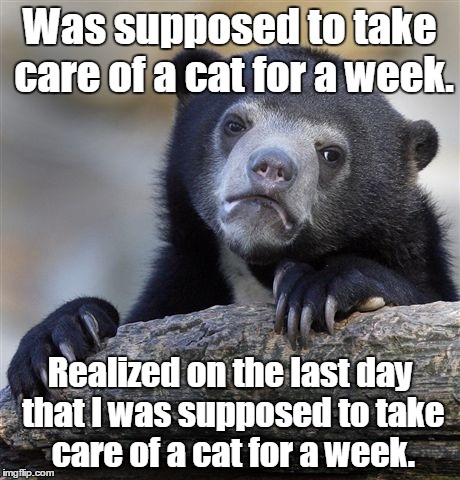 Confession Bear | Was supposed to take care of a cat for a week. Realized on the last day that I was supposed to take care of a cat for a week. | image tagged in memes,confession bear | made w/ Imgflip meme maker