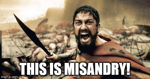 Sparta Leonidas Meme | THIS IS MISANDRY! | image tagged in memes,sparta leonidas | made w/ Imgflip meme maker
