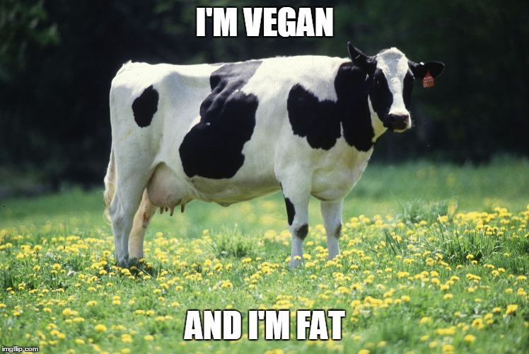 I'm vegan and I'm fat | I'M VEGAN; AND I'M FAT | image tagged in vegan,fat,fat vegan,cow | made w/ Imgflip meme maker