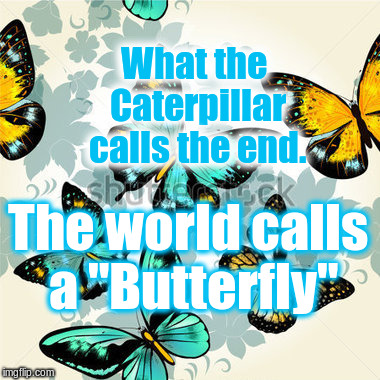 Birth of the Butterfly |  What the Caterpillar calls the end. The world calls a "Butterfly" | image tagged in inspirational | made w/ Imgflip meme maker