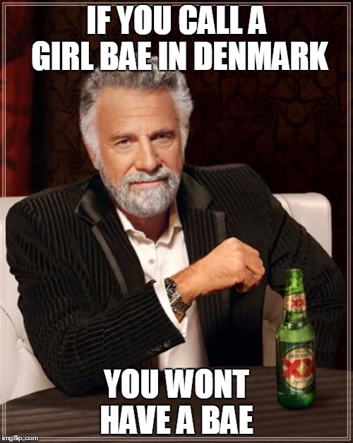 Only Danish People Will Understand | IF YOU CALL A GIRL BAE IN DENMARK; YOU WONT HAVE A BAE | image tagged in memes,the most interesting man in the world | made w/ Imgflip meme maker