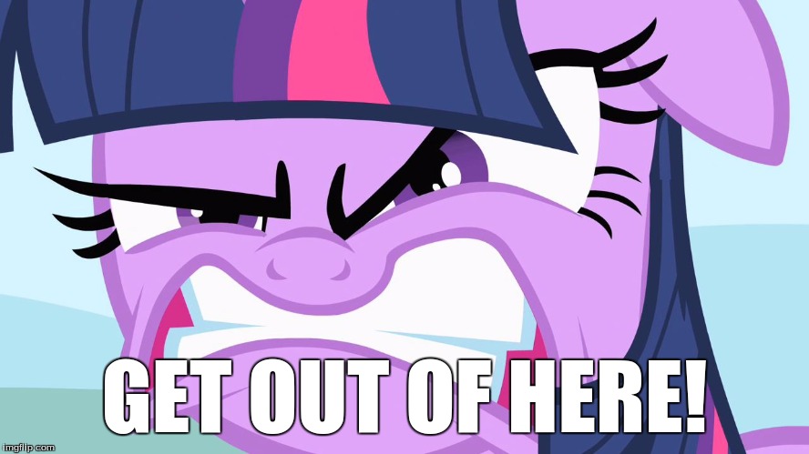 ANGRY Twilight | GET OUT OF HERE! | image tagged in angry twilight | made w/ Imgflip meme maker