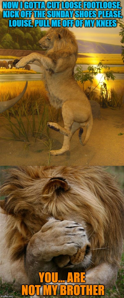 Everybody cut, everybody cutEverybody cut, everybody cutEverybody cut, everybody cutEverybody cut, everybody cut footloose | NOW I GOTTA CUT LOOSE
FOOTLOOSE, KICK OFF THE SUNDAY SHOES
PLEASE, LOUISE, PULL ME OFF OF MY KNEES; YOU... ARE NOT MY BROTHER | image tagged in memes,animals,lions | made w/ Imgflip meme maker