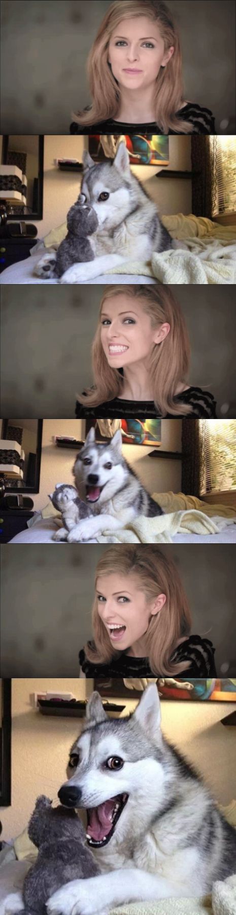 Anna and Bad Pun Dog Work Together Blank Meme Template