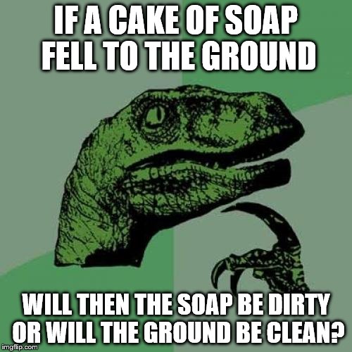 Philosoraptor | IF A CAKE OF SOAP FELL TO THE GROUND; WILL THEN THE SOAP BE DIRTY OR WILL THE GROUND BE CLEAN? | image tagged in memes,philosoraptor | made w/ Imgflip meme maker