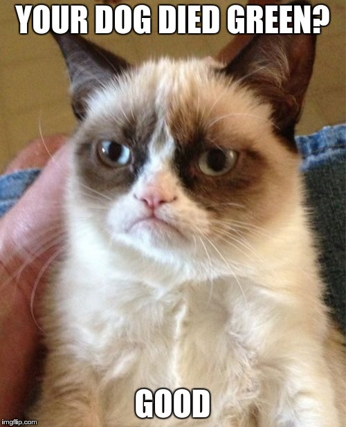 Grumpy Cat Meme | YOUR DOG DIED GREEN? GOOD | image tagged in memes,grumpy cat | made w/ Imgflip meme maker