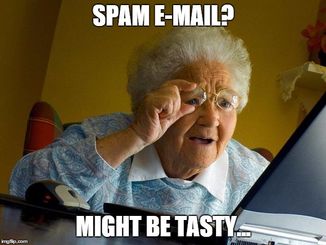 Grandma Finds The Internet Meme | SPAM E-MAIL? MIGHT BE TASTY... | image tagged in memes,grandma finds the internet | made w/ Imgflip meme maker