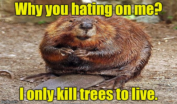 Why you hating on me? I only kill trees to live. | made w/ Imgflip meme maker
