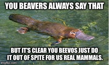 Platypus by Strongly Opinionated Platypus | YOU BEAVERS ALWAYS SAY THAT BUT IT'S CLEAR YOU BEEVOS JUST DO IT OUT OF SPITE FOR US REAL MAMMALS. | image tagged in platypus by strongly opinionated platypus | made w/ Imgflip meme maker