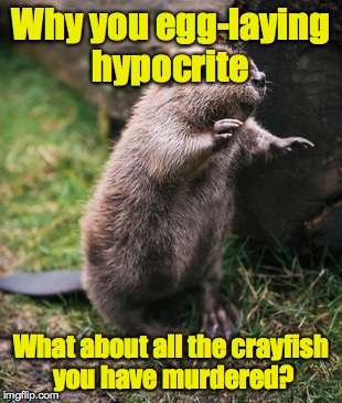 Why you egg-laying hypocrite What about all the crayfish you have murdered? | made w/ Imgflip meme maker