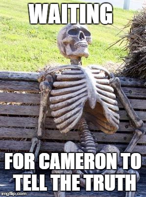 Waiting Skeleton | WAITING; FOR CAMERON TO TELL THE TRUTH | image tagged in memes,waiting skeleton | made w/ Imgflip meme maker