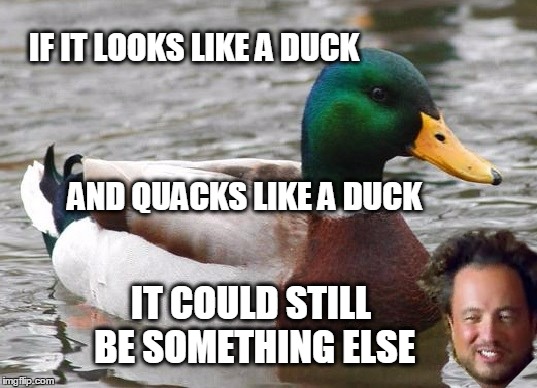 Is it a Duck? |  IF IT LOOKS LIKE A DUCK; AND QUACKS LIKE A DUCK; IT COULD STILL BE SOMETHING ELSE | image tagged in actual advice mallard,ancient aliens,wait what,what if i told you | made w/ Imgflip meme maker