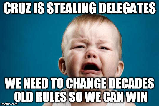 BABY CRYING | CRUZ IS STEALING DELEGATES; WE NEED TO CHANGE DECADES OLD RULES SO WE CAN WIN | image tagged in baby crying | made w/ Imgflip meme maker