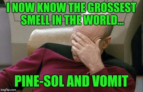 Thanx to a friend I DDed for this weekend. |  I NOW KNOW THE GROSSEST SMELL IN THE WORLD... PINE-SOL AND VOMIT | image tagged in memes,captain picard facepalm | made w/ Imgflip meme maker