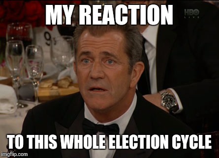Confused Mel Gibson | MY REACTION; TO THIS WHOLE ELECTION CYCLE | image tagged in memes,confused mel gibson | made w/ Imgflip meme maker