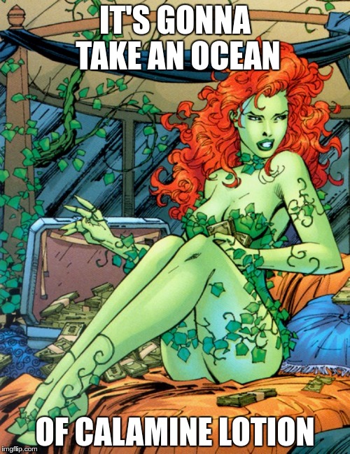 Poison Ivy...A comment on another Meme has this song stuck in my head | IT'S GONNA TAKE AN OCEAN; OF CALAMINE LOTION | image tagged in music,memes,oldies | made w/ Imgflip meme maker
