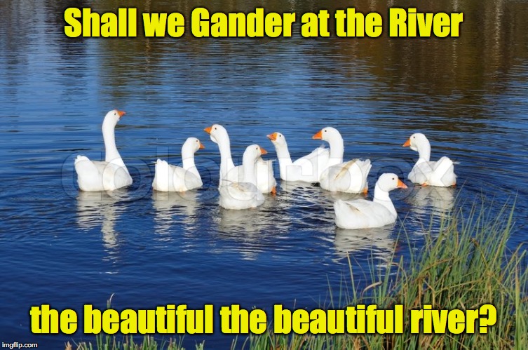 Shall we Gander at the River the beautiful the beautiful river? | made w/ Imgflip meme maker