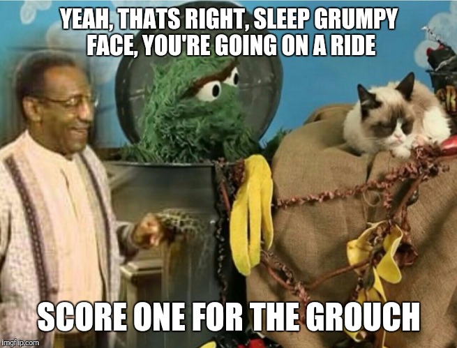 YEAH, THATS RIGHT, SLEEP GRUMPY FACE, YOU'RE GOING ON A RIDE SCORE ONE FOR THE GROUCH | made w/ Imgflip meme maker