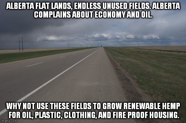 Alberta Hemp Vs. | ALBERTA FLAT LANDS, ENDLESS UNUSED FIELDS.
ALBERTA COMPLAINS ABOUT ECONOMY AND OIL. WHY NOT USE THESE FIELDS TO GROW RENEWABLE HEMP FOR OIL, PLASTIC, CLOTHING, AND FIRE PROOF HOUSING. | image tagged in alberta,hemp,oil,freedom,free,health | made w/ Imgflip meme maker