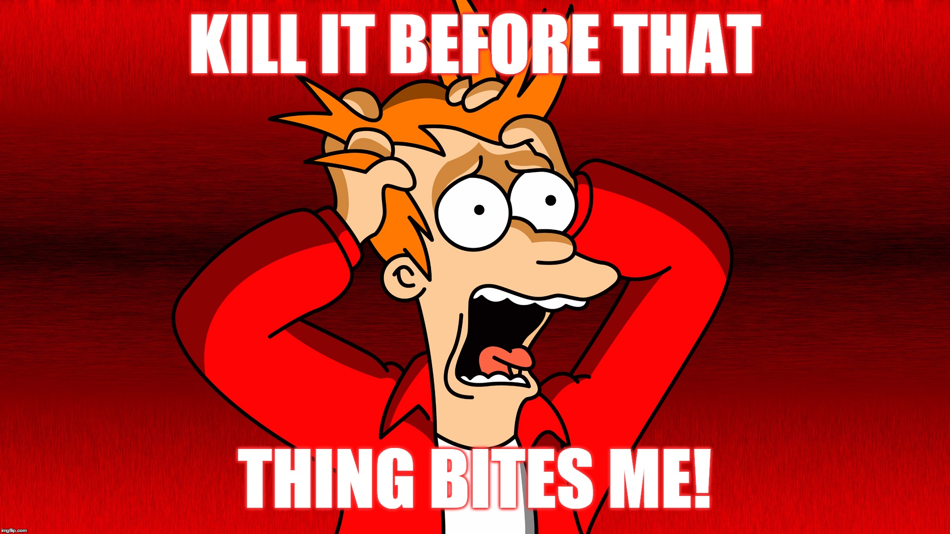 Fry Panic | KILL IT BEFORE THAT THING BITES ME! | image tagged in fry panic | made w/ Imgflip meme maker