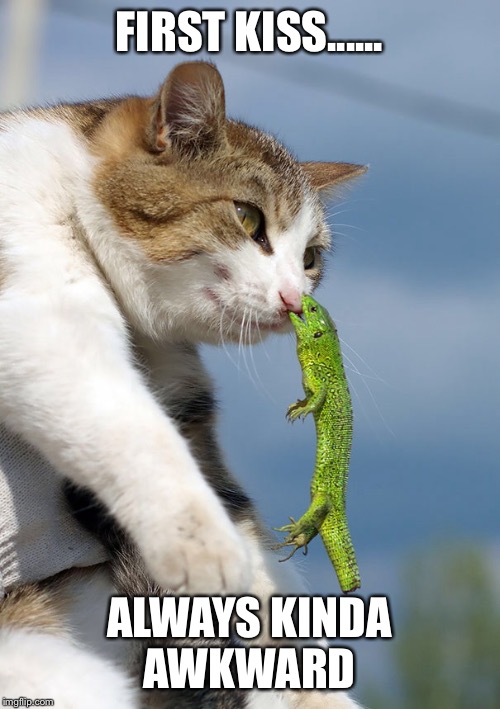 Weellll my first kiss went a little like this | FIRST KISS...... ALWAYS KINDA AWKWARD | image tagged in cats,lizard,kiss,oops | made w/ Imgflip meme maker