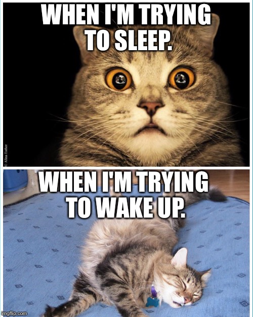  WHEN I'M TRYING TO SLEEP. WHEN I'M TRYING TO WAKE UP. | image tagged in adhdmeme | made w/ Imgflip meme maker