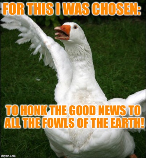 FOR THIS I WAS CHOSEN: TO HONK THE GOOD NEWS TO ALL THE FOWLS OF THE EARTH! | made w/ Imgflip meme maker